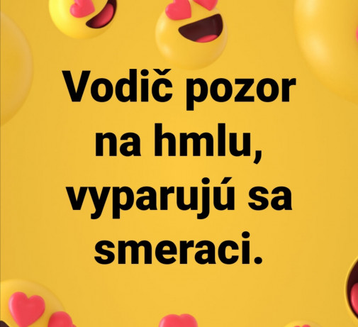 Príspevok 122981