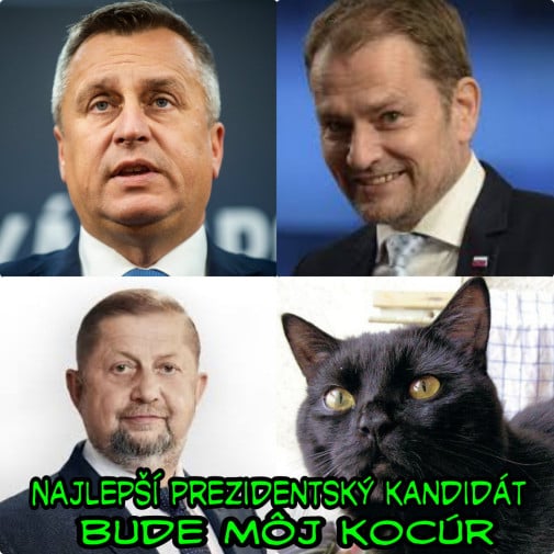 Príspevok 197041