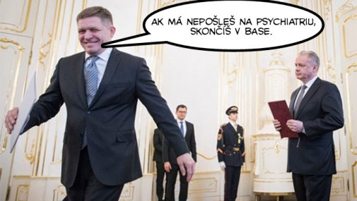 Príspevok 110342