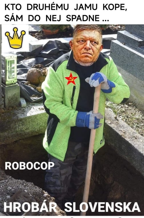 Príspevok 215485