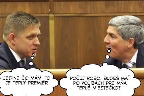 Príspevok 117706