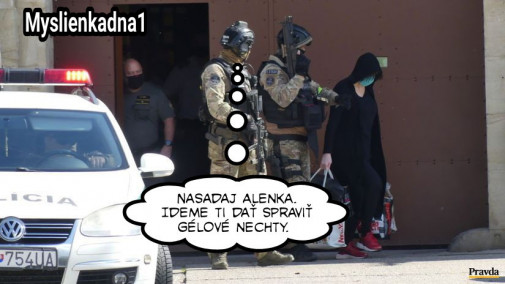 Príspevok 122746