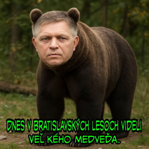 Príspevok 223866