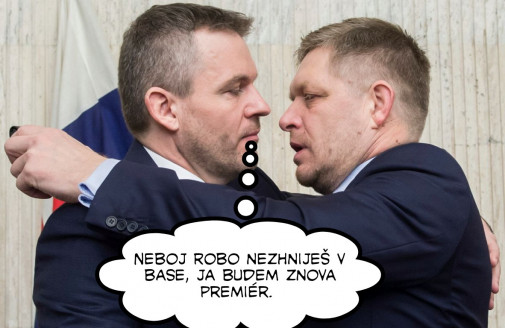 Príspevok 128547