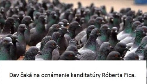 Príspevok 58717