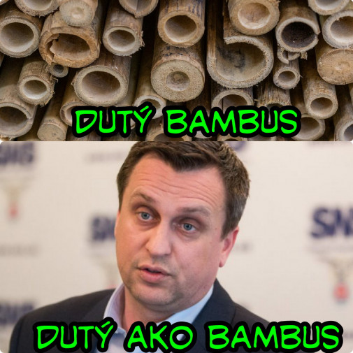 Príspevok 115008
