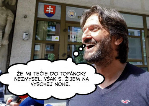 Príspevok 132568