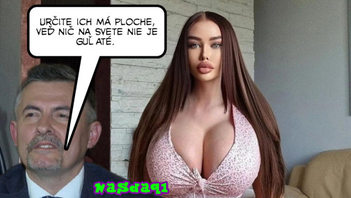 Príspevok 202028