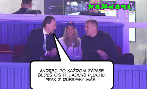 Príspevok 202078