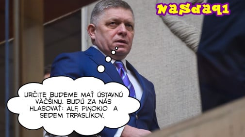 Príspevok 217029